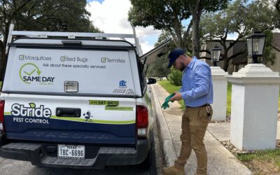 General Pest Control