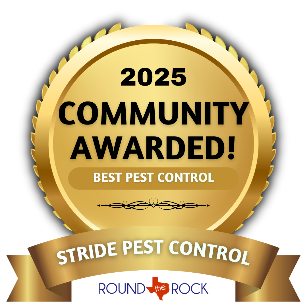 Round Rock Best Pest Control 2025